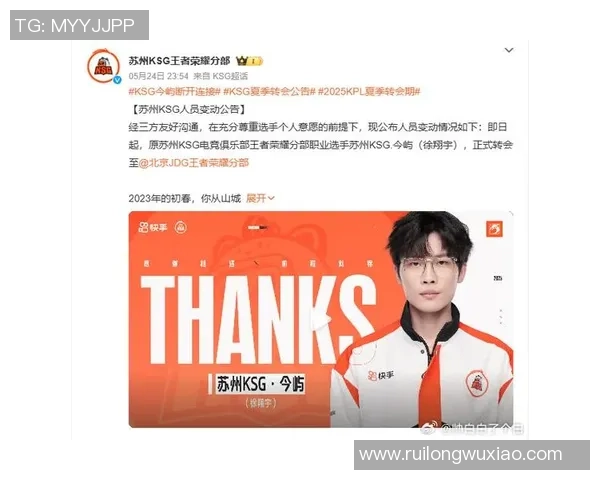 王者荣耀评论分析JDG战队在比赛中的策略转换与成败得失探讨